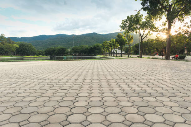 Best Driveway Paving Contractor  in Yellow Springs, OH